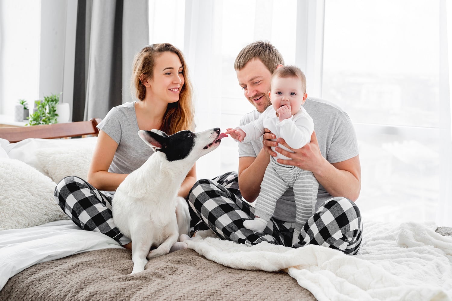 Family Relationship