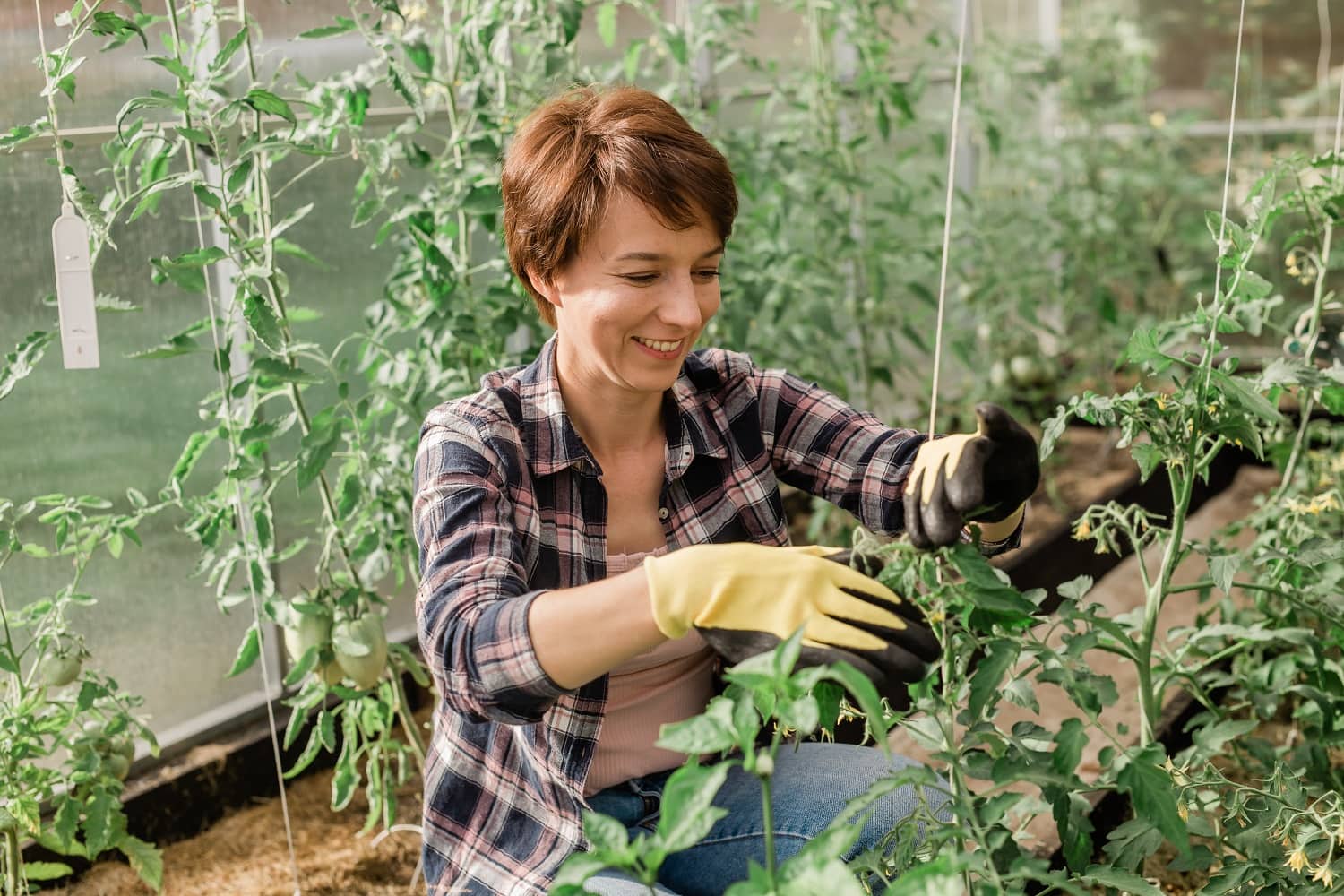 Agriculture Worker
